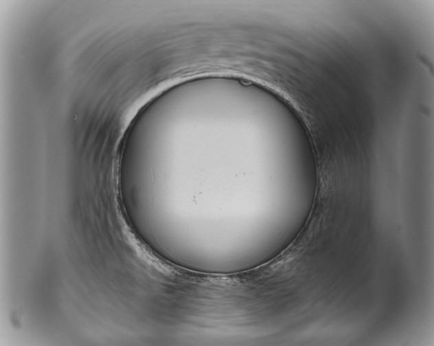 X0000100371526200806201616