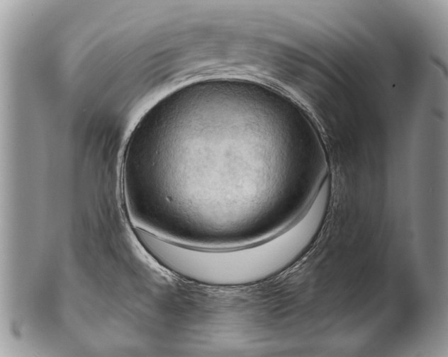 X0000100371528200806201616