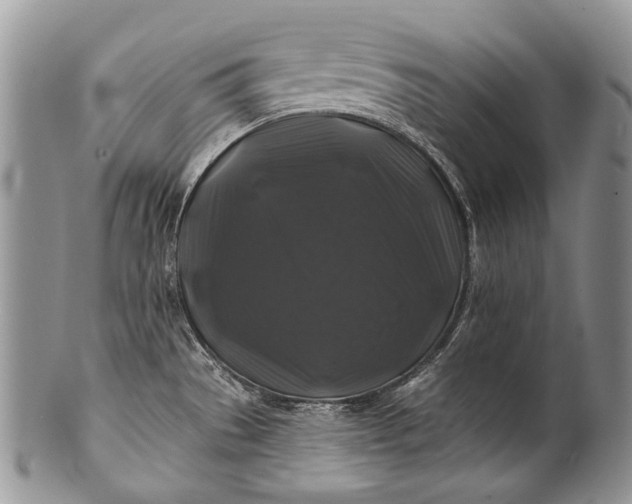 X0000100371529200806201616