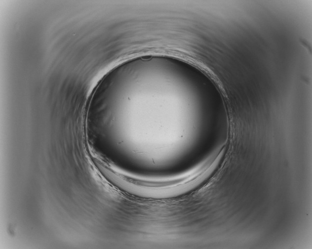 X0000100371530200806201616