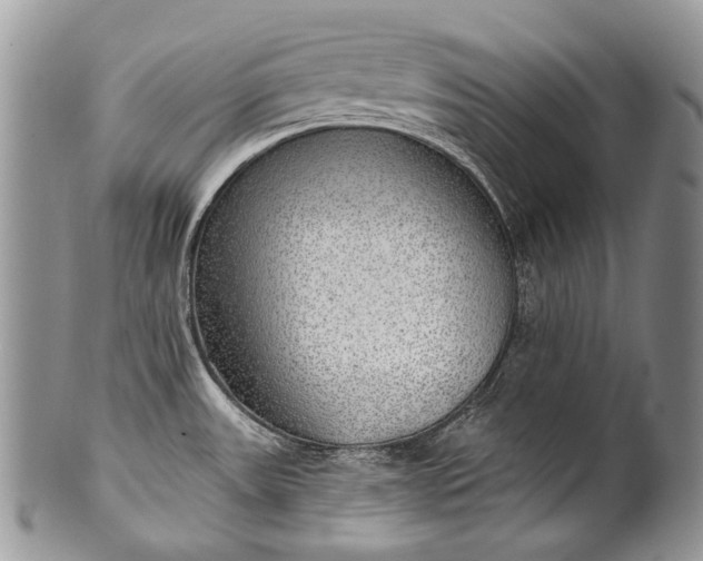 X0000100371531200806201616