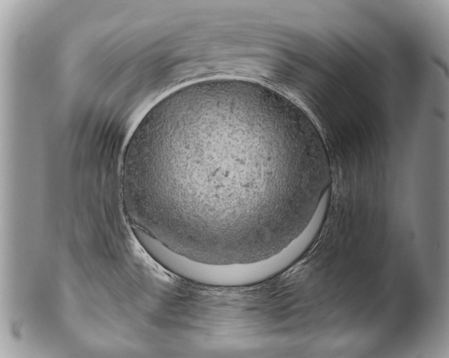 X0000100371532200806201616