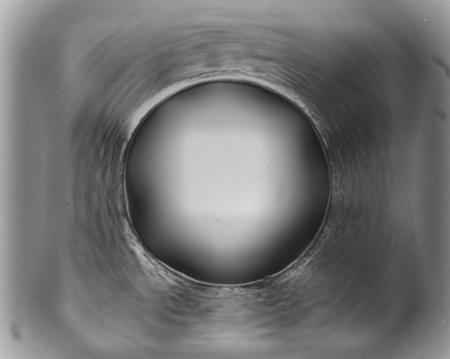 X0000100371534200806201616