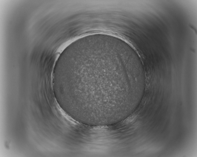 X0000100371535200806201616