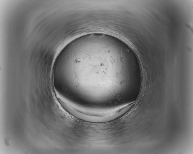 X0000100371536200806201616