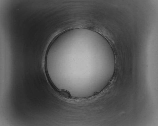 X0000100370003200806271453