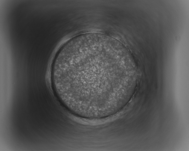 X0000100370006200806271453