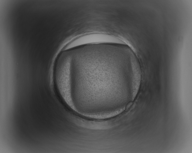 X0000100370008200806271453