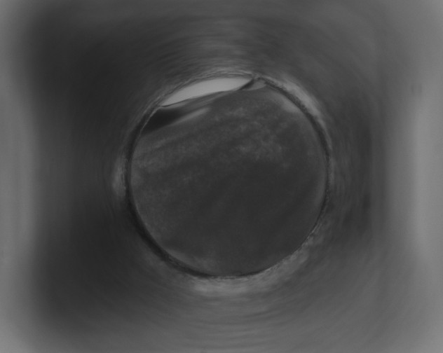 X0000100370009200806271453