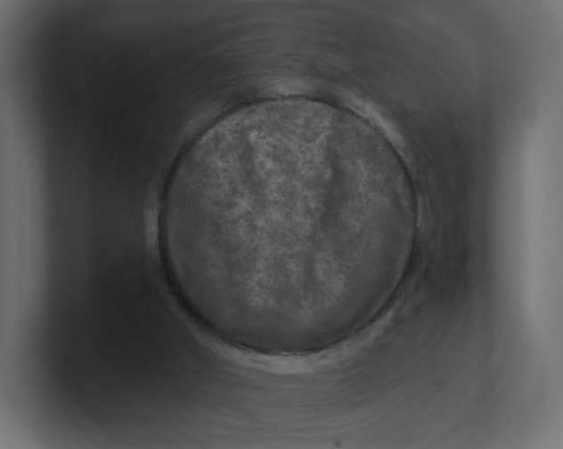 X0000100370010200806271453