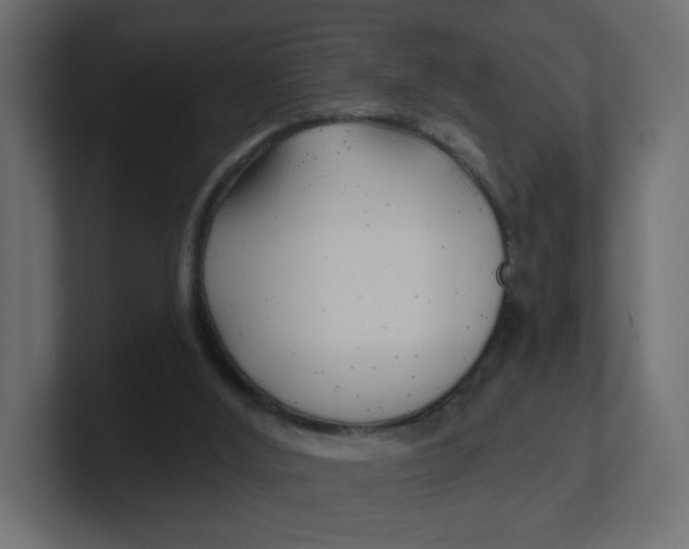 X0000100370012200806271453