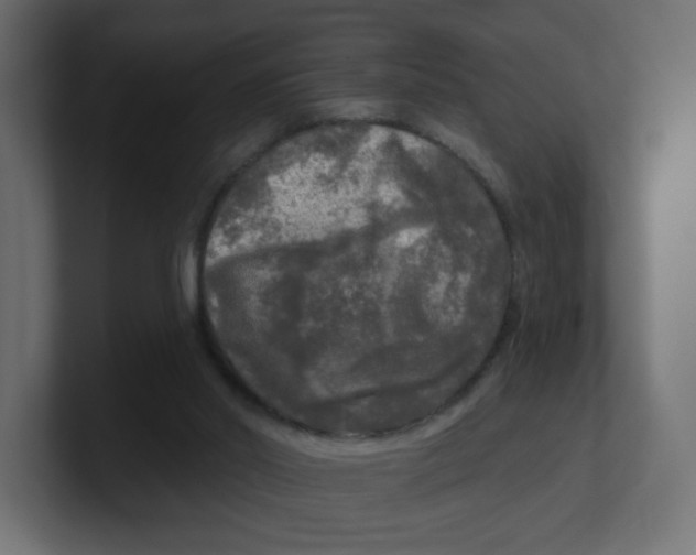 X0000100370014200806271453