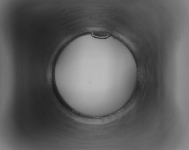 X0000100370015200806271453