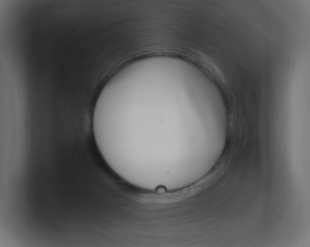 X0000100370025200806271453