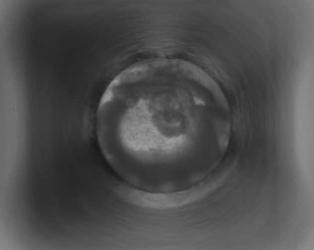 X0000100370030200806271453