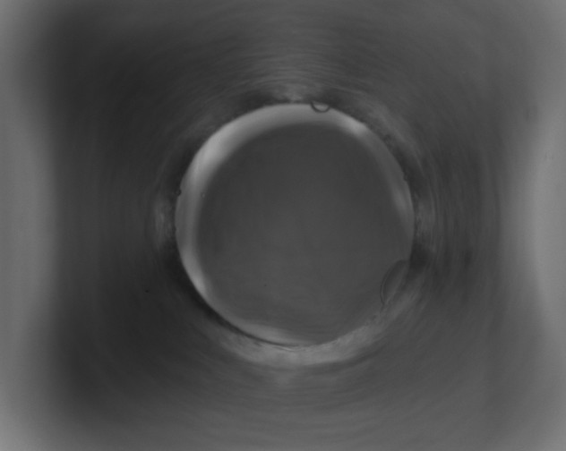 X0000100370043200806271453