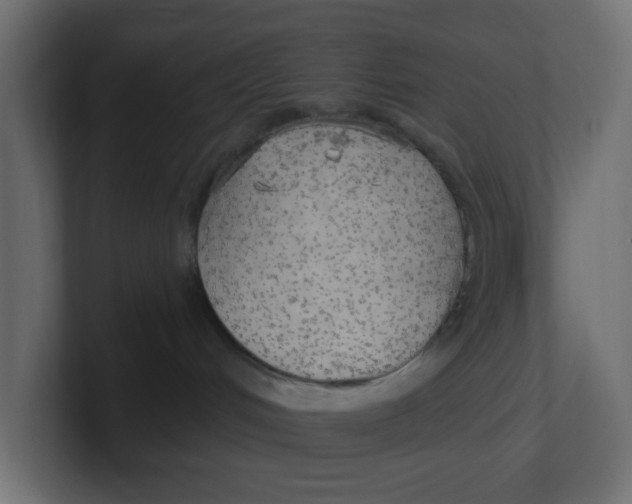 X0000100370048200806271453