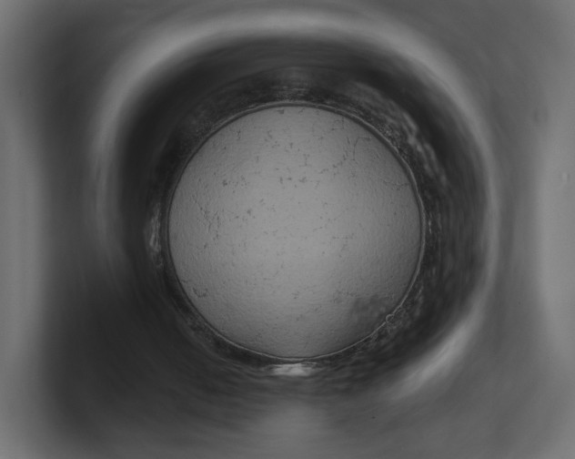 X0000100370050200806271452