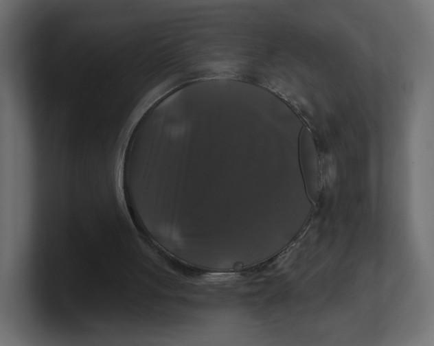 X0000100370051200806271452