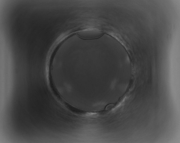 X0000100370055200806271452