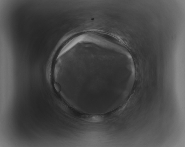 X0000100370056200806271452