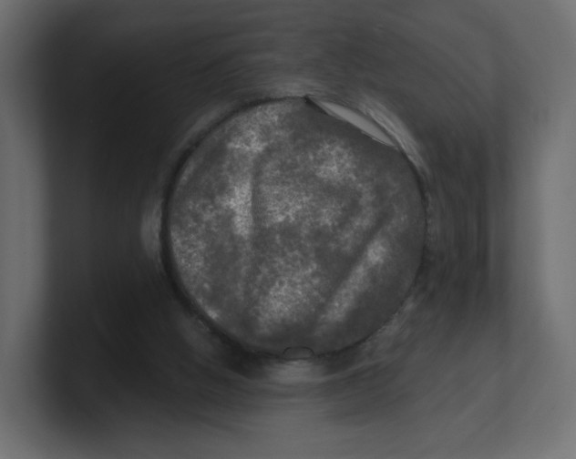 X0000100370058200806271452