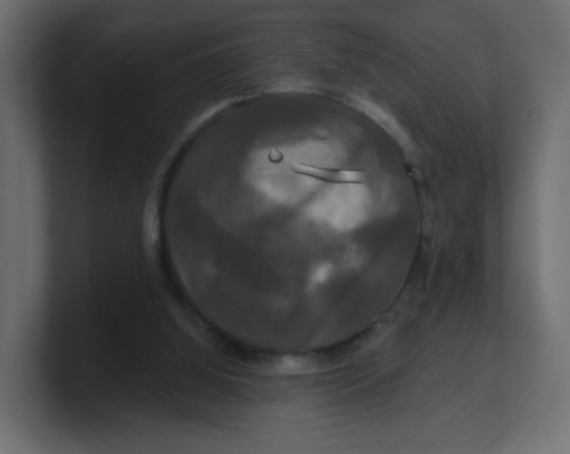 X0000100370060200806271452