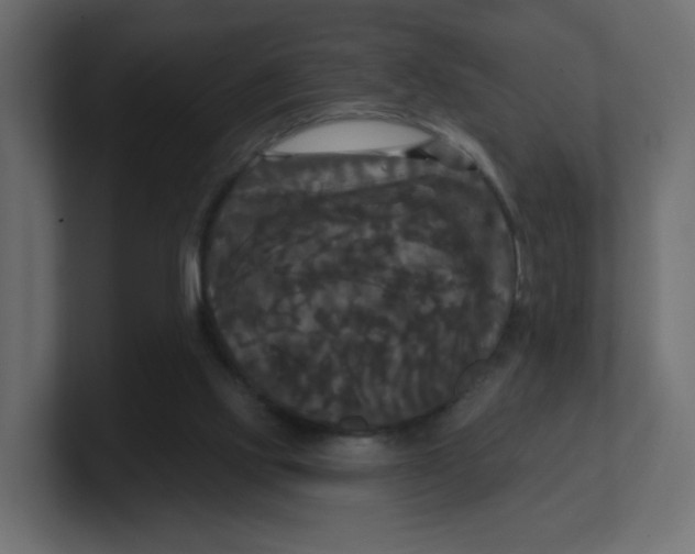 X0000100370061200806271452