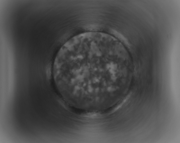 X0000100370065200806271452