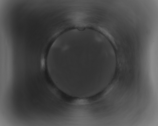 X0000100370067200806271452