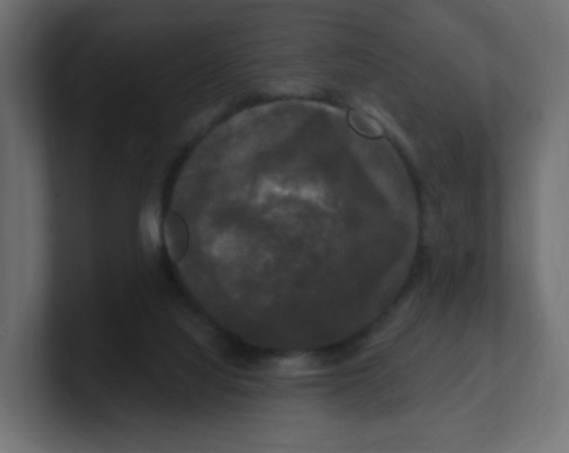 X0000100370068200806271452