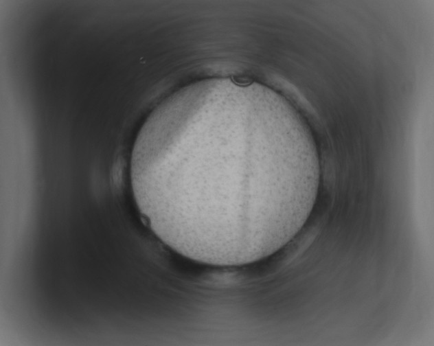 X0000100370071200806271452