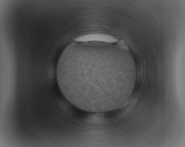 X0000100370078200806271453