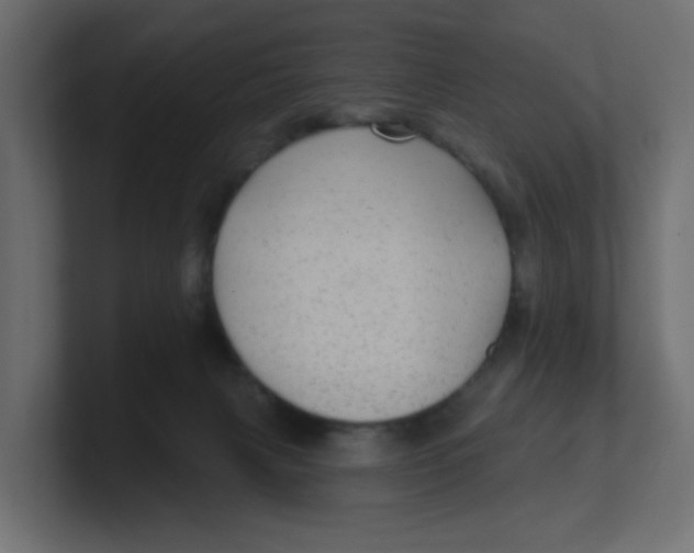 X0000100370079200806271453