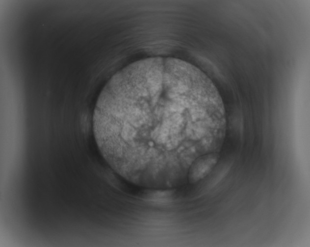 X0000100370081200806271453