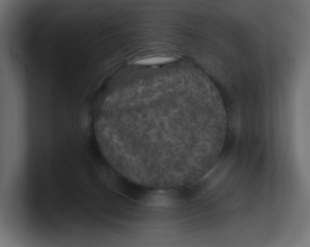 X0000100370082200806271453