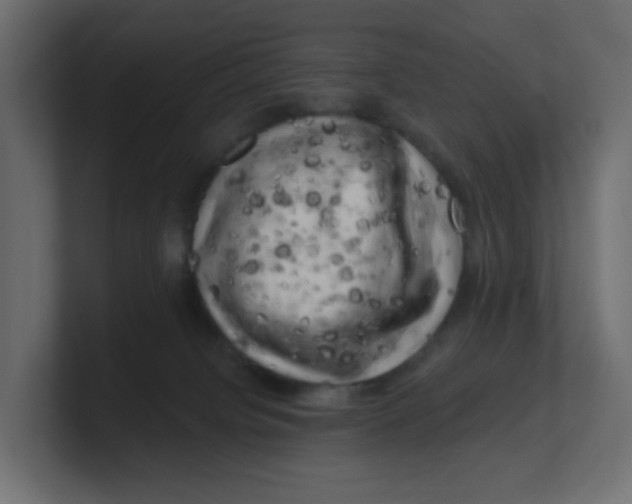 X0000100370084200806271453