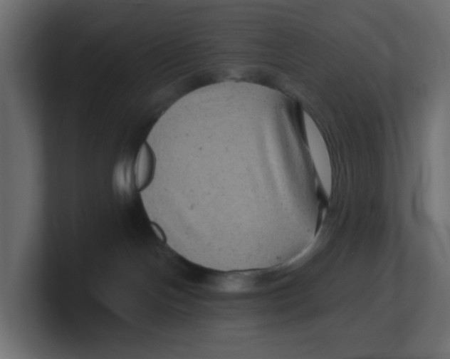 X0000100370094200806271453