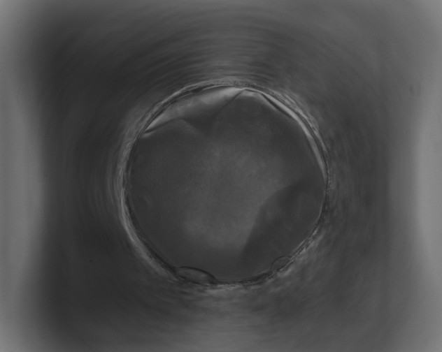 X0000100370097200806271452