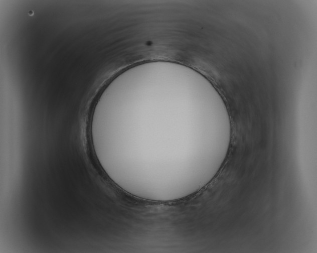 X0000100370098200806271452