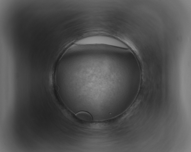 X0000100370105200806271452