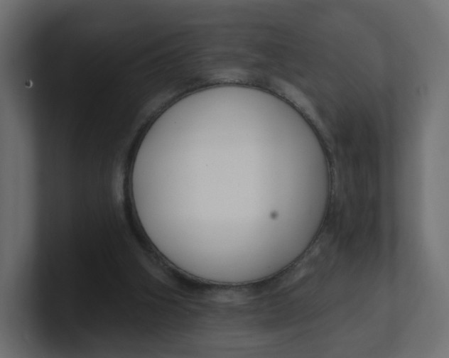 X0000100370106200806271452