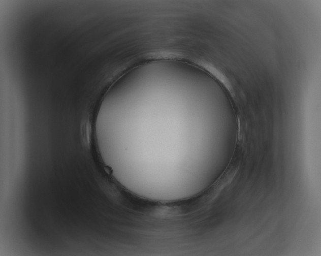 X0000100370109200806271452