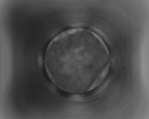 X0000100370117200806271452