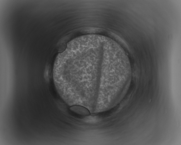 X0000100370119200806271452