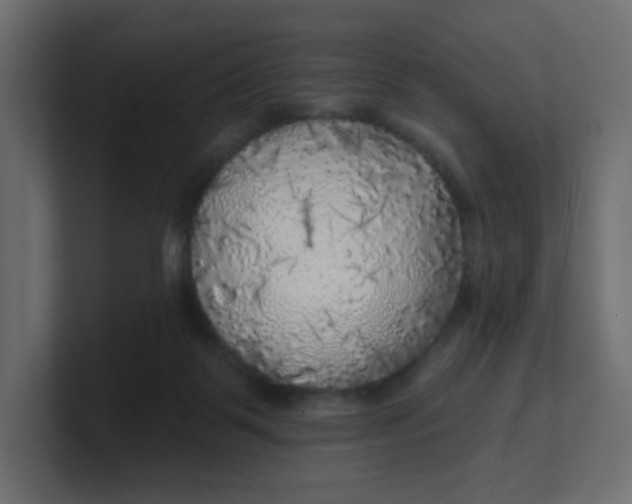 X0000100370123200806271452