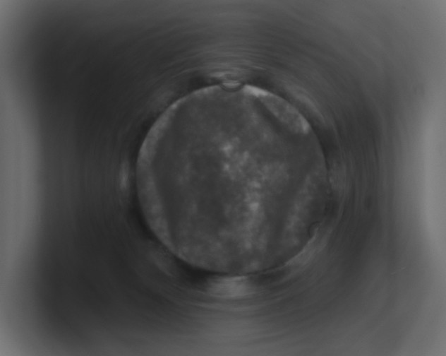 X0000100370132200806271452