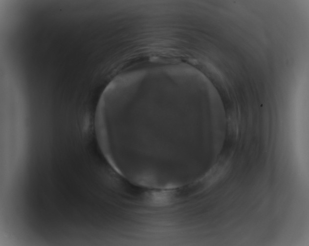 X0000100370134200806271452