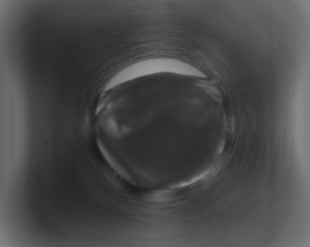 X0000100370136200806271452