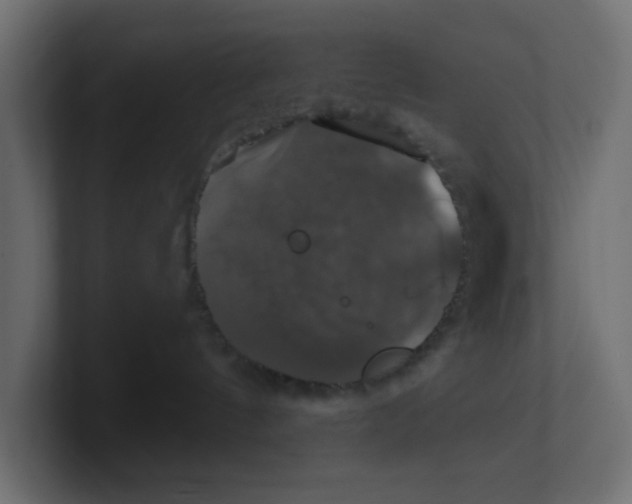 X0000100370144200806271452